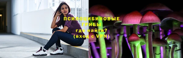 шишки Алексин