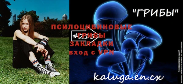 ПСИЛОЦИБИНОВЫЕ ГРИБЫ Алзамай
