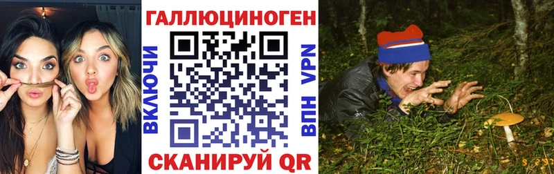 Галлюциногенные грибы Psilocybe  MEGA tor  Лаишево 